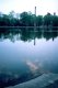 Barbecue-15 - (Lake)